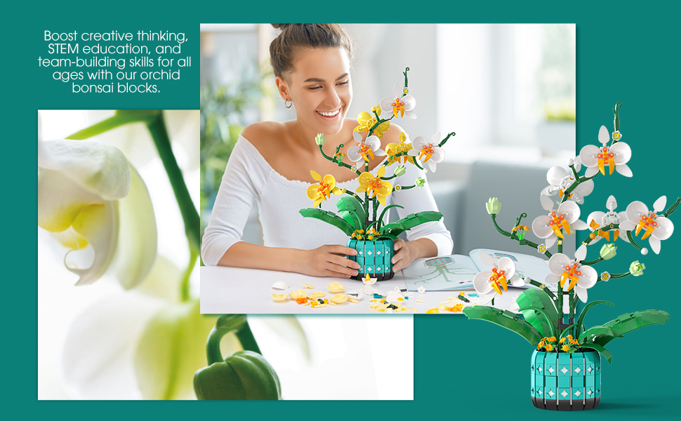 BAKA Orchid Flower Building Kit for Adults and Kids, Orchid Bonsai